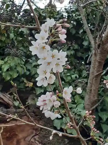 伏木香取神社の自然