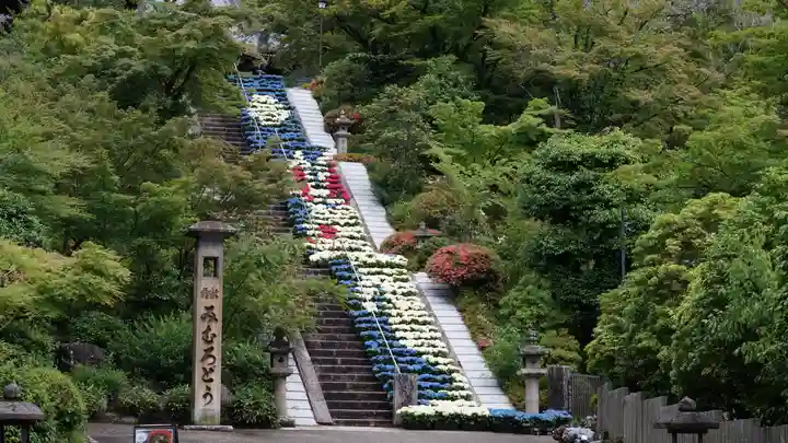 三室戸寺(京都府)