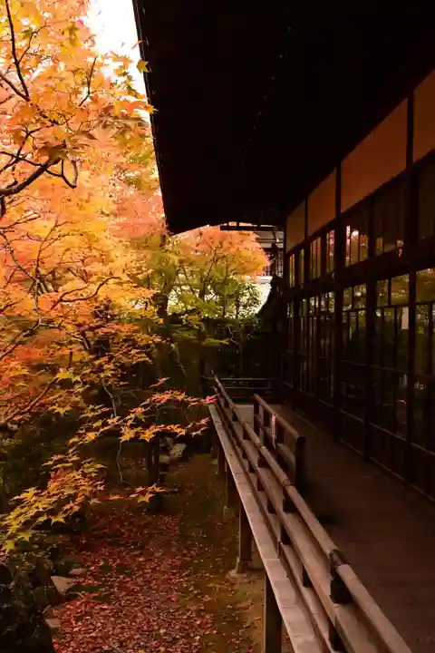 禅林寺(永観堂)(京都府)