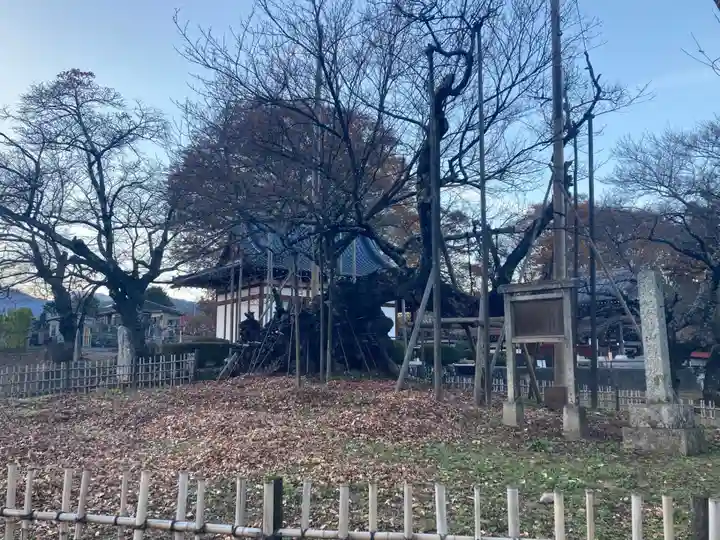 実相寺(山梨県)