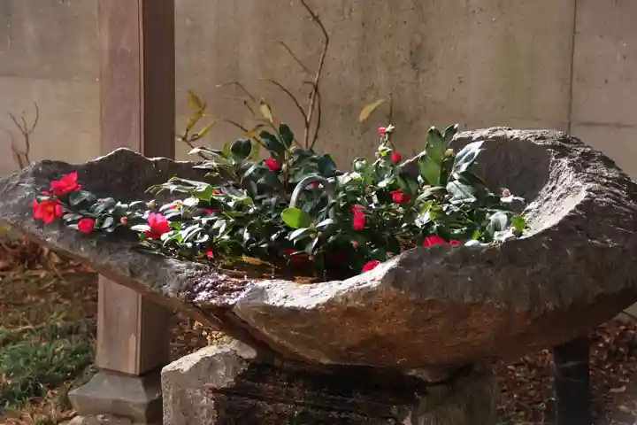 愛宕神社の手水舎
