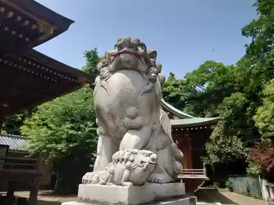 赤羽八幡神社の狛犬