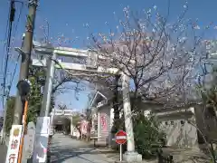 矢向日枝神社(神奈川県)