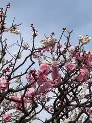 中山寺の自然