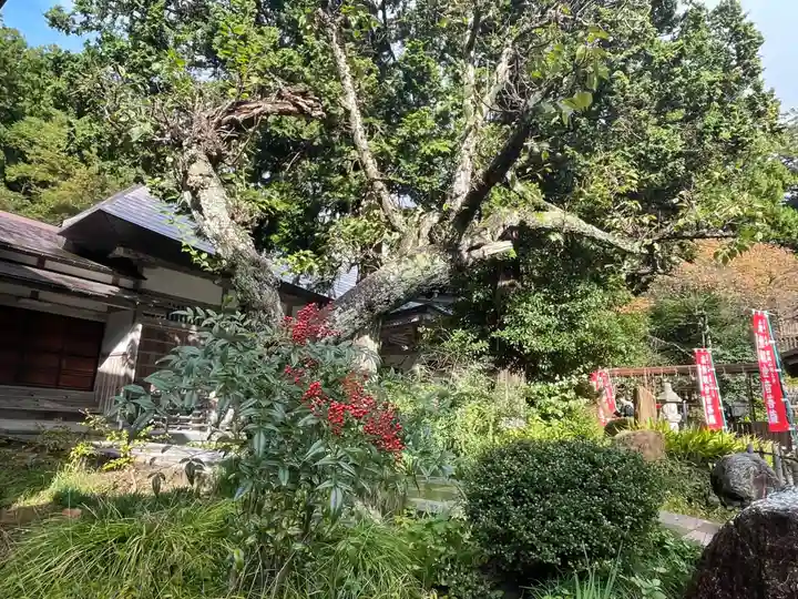 国上寺(新潟県)