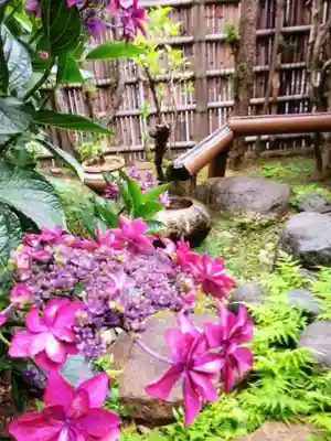 宝祥寺(東京都)