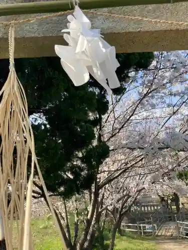 新野辺住吉神社の鳥居