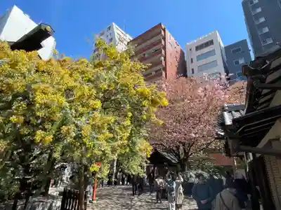 蔵前神社(東京都)