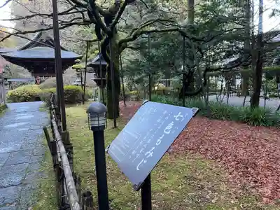 北口本宮冨士浅間神社(山梨県)