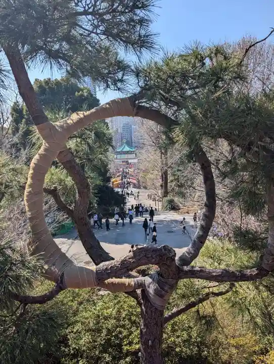 清水観音堂(東京都)