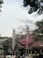 櫻木神社(千葉県)