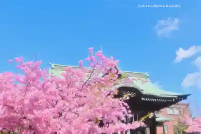 桜神宮(東京都)