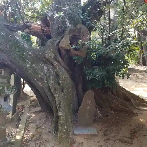 森稲荷大明神の自然