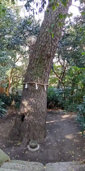 第六天神社(神奈川県)