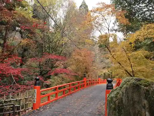 今熊野観音寺(京都府)