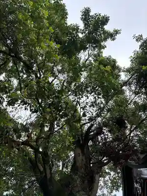 一之宮貫前神社(群馬県)