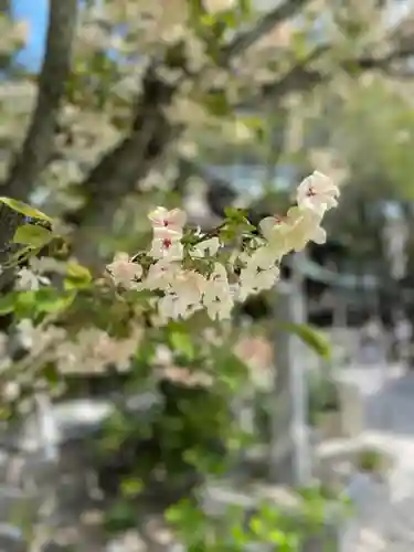 白峯神宮の自然