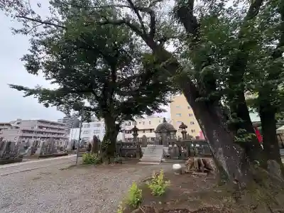 清岸寺(東京都)