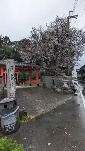 樫本神社（大原野神社境外摂社）(京都府)