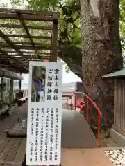 金剛宝寺（紀三井寺）の建物その他