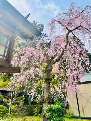神明社(宮城県)