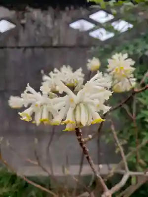仙藏院(東京都)