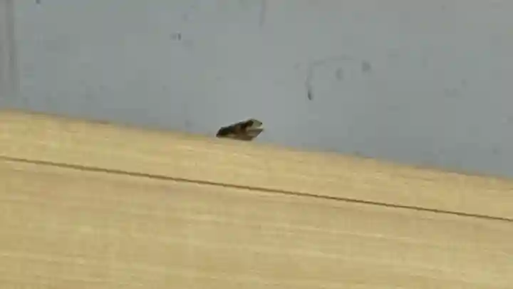 福地山 長現寺(山形県)