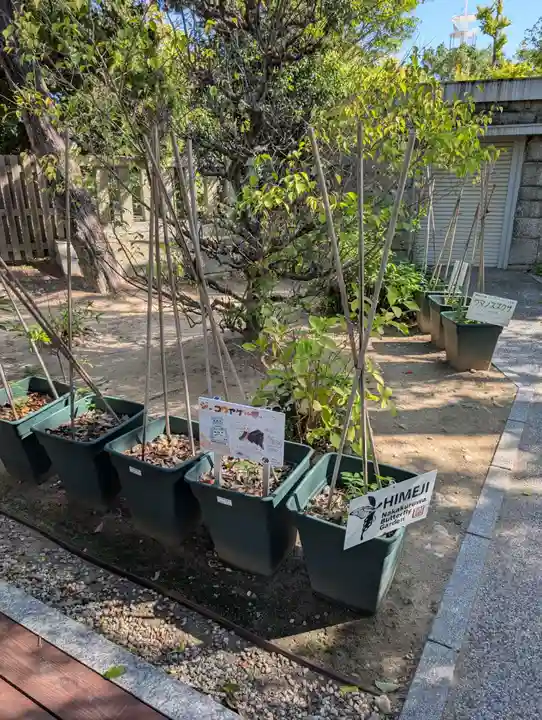 兵庫縣姫路護國神社(兵庫県)