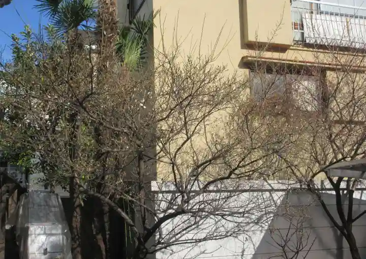 妙経寺(東京都)