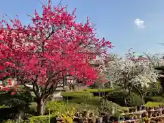 岩槻大師彌勒密寺の自然