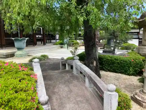 観音寺の{uncategorized: "未分類", other: "その他", undefined: "問題あり", building: "その他建物", grave: "お墓", sacred_gate: "鳥居", guardian: "狛犬", statue: "像", buddha: "仏像", history: "歴史", nature: "自然", garden: "庭園", animal: "動物", pagoda: "塔", temizu: "手水舎", mountain_gate: "山門・神門", sanctuary: "本殿・本堂", subordinate: "末社・摂社", art: "芸術", scenery: "景色", jizo: "地蔵", ema: "絵馬", goshuin: "御朱印", omikuji: "おみくじ", items: "授与品その他", amulet: "お守り", goshuincho: "御朱印帳", eats: "食事", festival: "お祭り", votive_dance: "神楽", shichigosan: "七五三参", wedding: "結婚式", experience: "体験その他", initially: "初詣", around: "周辺", anti_infection: "感染症対策"}