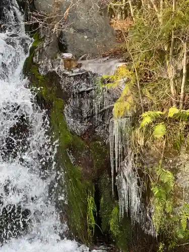 富士山東口本宮 冨士浅間神社の自然