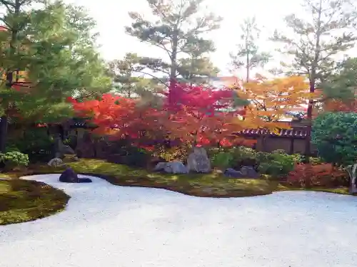 高台寺（高台寿聖禅寺・高臺寺）(京都府)