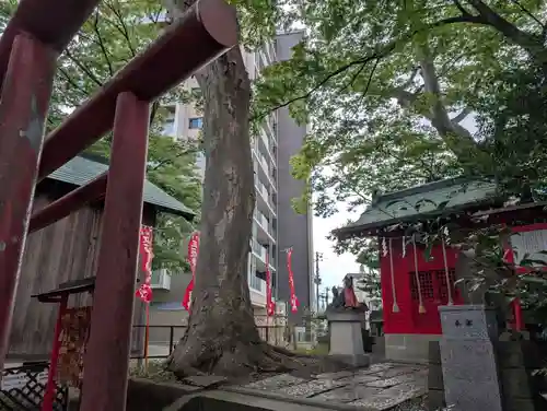 愛宕神社(福島県)