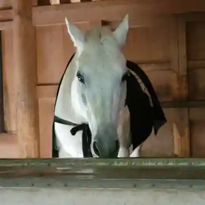 伊勢神宮外宮（豊受大神宮）(三重県)
