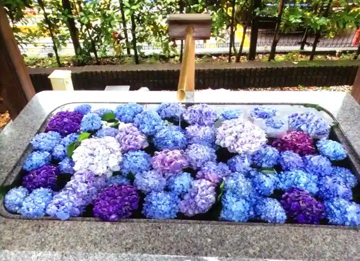 桜神宮(東京都)