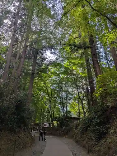 中尊寺(岩手県)