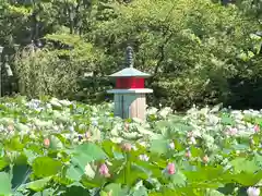 白山神社(新潟県)