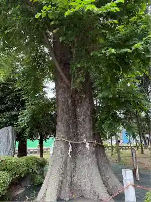 深見神社(神奈川県)