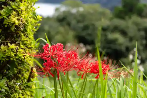 霧島東神社(宮崎県)