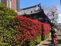 専称寺の周辺