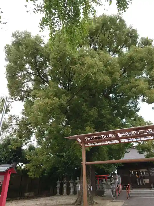 八條八幡神社(埼玉県)