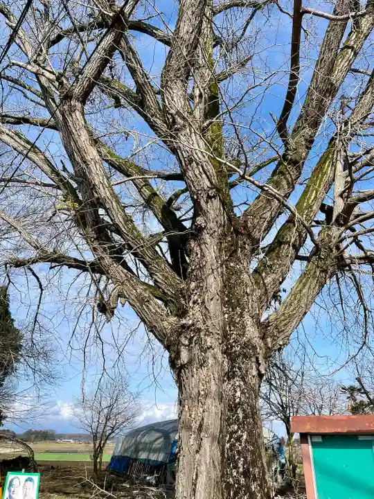 古泉馬頭観世音(栃木県)