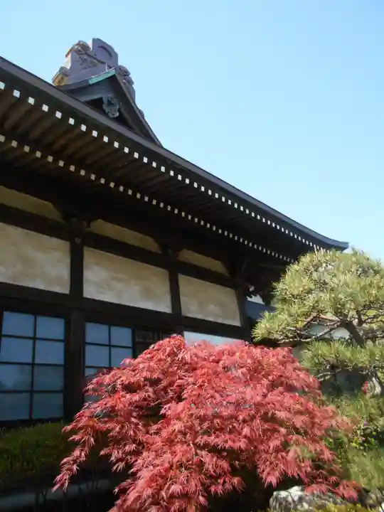 法源寺の本殿・本堂