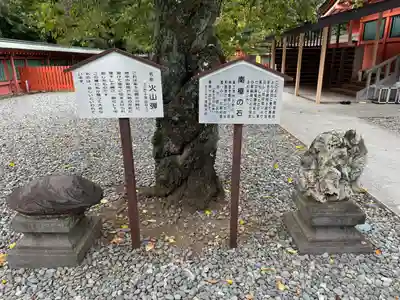 富士山本宮浅間大社(静岡県)