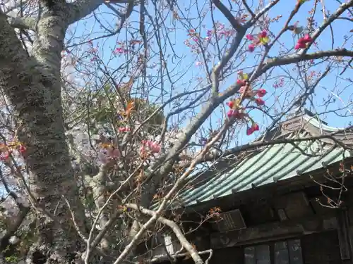 極楽寺（霊鷲山感應院極楽律寺）の景色