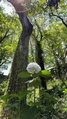 福母八幡宮(佐賀県)