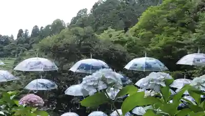 柳谷観音　楊谷寺(京都府)