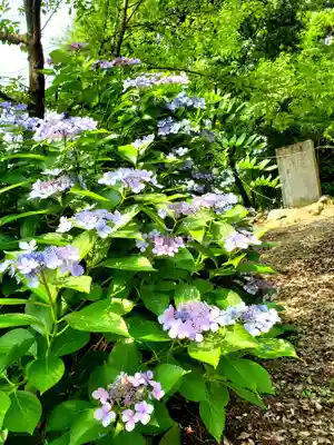隠津島神社(福島県)