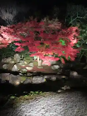 圓徳院(京都府)